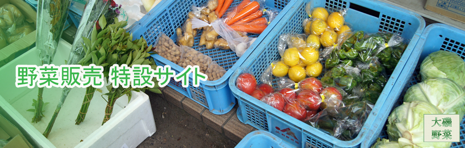 野菜販売_写真 １